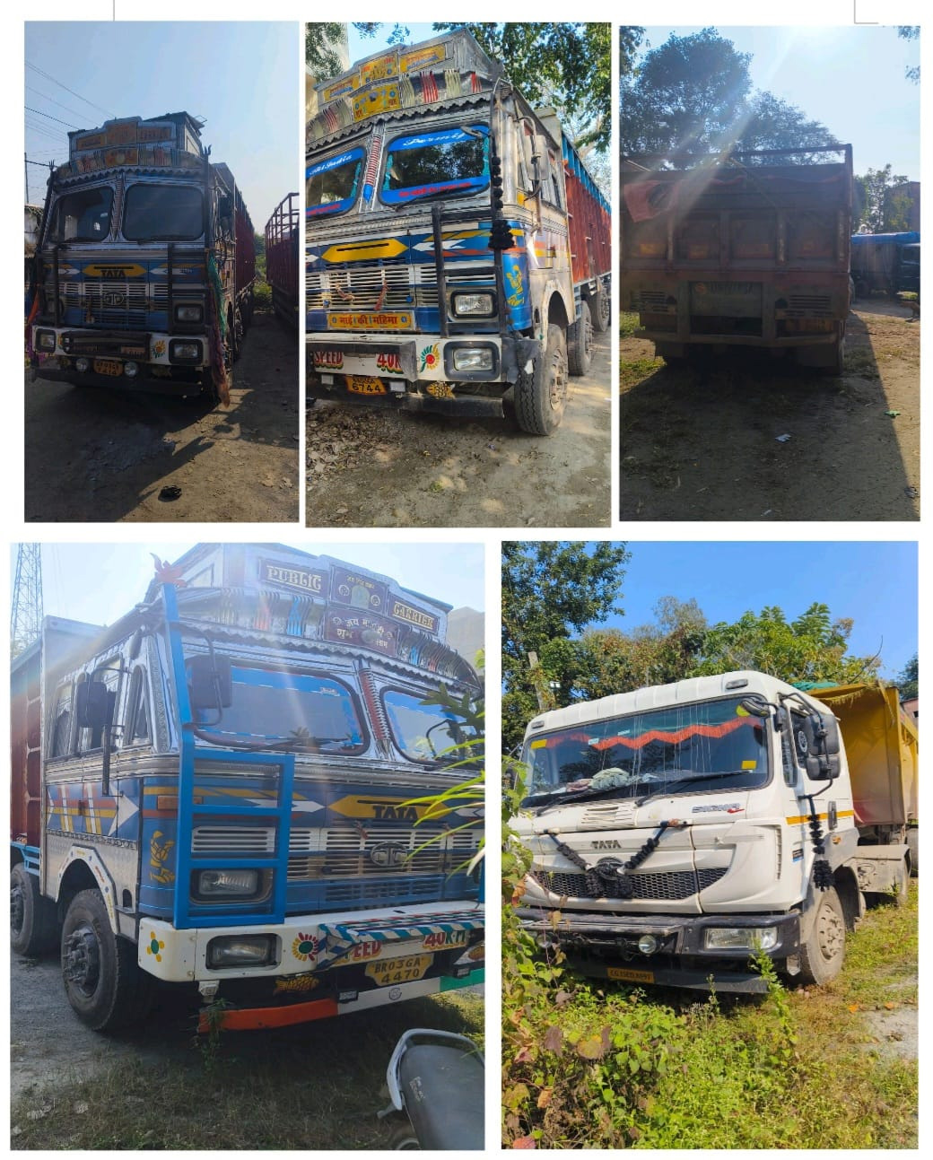 77cb928cae9821095a8836db0f0eae1c_1867558307 (1).jpg